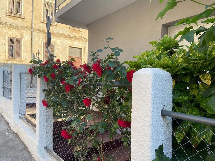 Green Oasis New Apartment بولا المظهر الخارجي الصورة